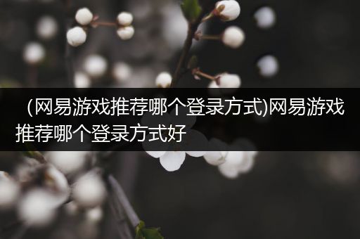 （网易游戏推荐哪个登录方式)网易游戏推荐哪个登录方式好