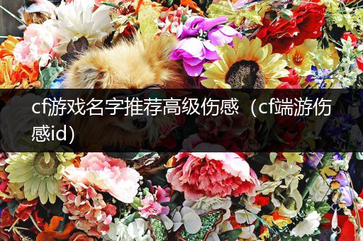 cf游戏名字推荐高级伤感（cf端游伤感id）