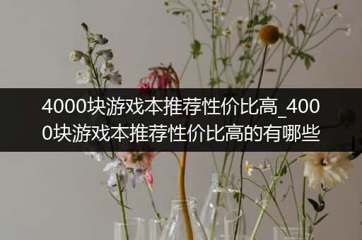 4000块游戏本推荐性价比高_4000块游戏本推荐性价比高的有哪些
