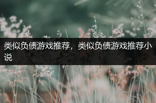 类似负债游戏推荐，类似负债游戏推荐小说