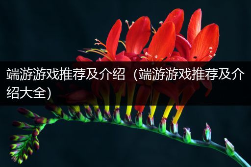 端游游戏推荐及介绍（端游游戏推荐及介绍大全）