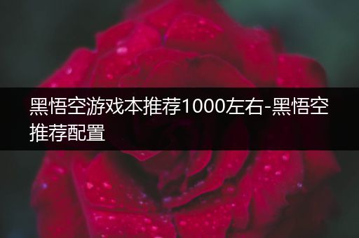 黑悟空游戏本推荐1000左右-黑悟空推荐配置