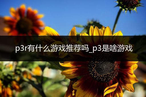 p3r有什么游戏推荐吗_p3是啥游戏