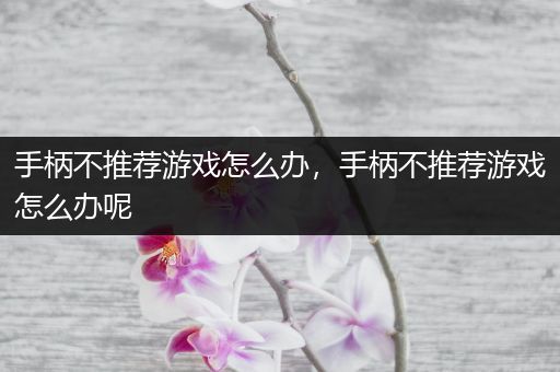 手柄不推荐游戏怎么办，手柄不推荐游戏怎么办呢