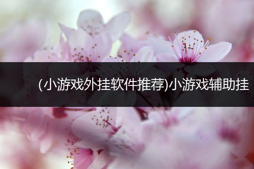 （小游戏外挂软件推荐)小游戏辅助挂