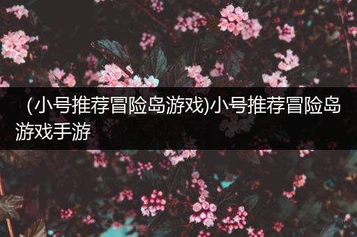 （小号推荐冒险岛游戏)小号推荐冒险岛游戏手游