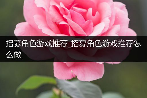 招募角色游戏推荐_招募角色游戏推荐怎么做