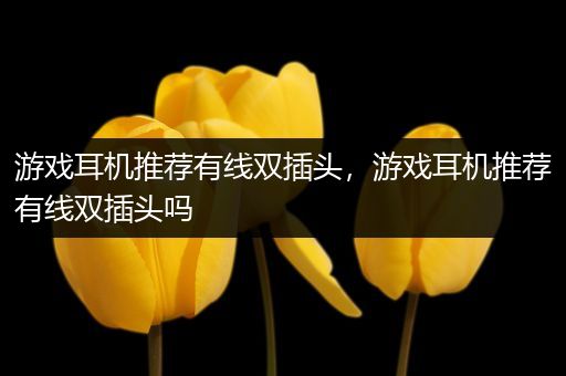 游戏耳机推荐有线双插头，游戏耳机推荐有线双插头吗