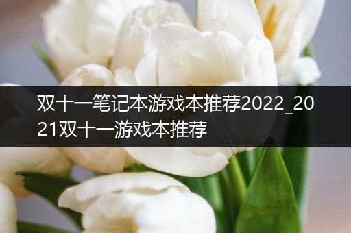 双十一笔记本游戏本推荐2022_2021双十一游戏本推荐