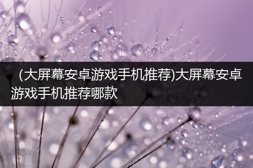 （大屏幕安卓游戏手机推荐)大屏幕安卓游戏手机推荐哪款