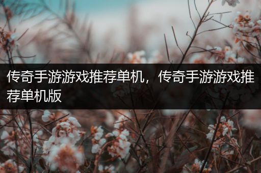 传奇手游游戏推荐单机，传奇手游游戏推荐单机版
