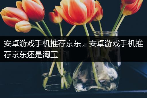 安卓游戏手机推荐京东，安卓游戏手机推荐京东还是淘宝
