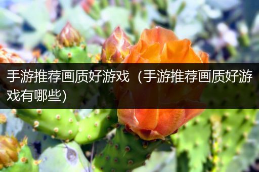 手游推荐画质好游戏（手游推荐画质好游戏有哪些）