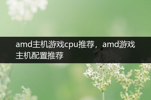 amd主机游戏cpu推荐，amd游戏主机配置推荐