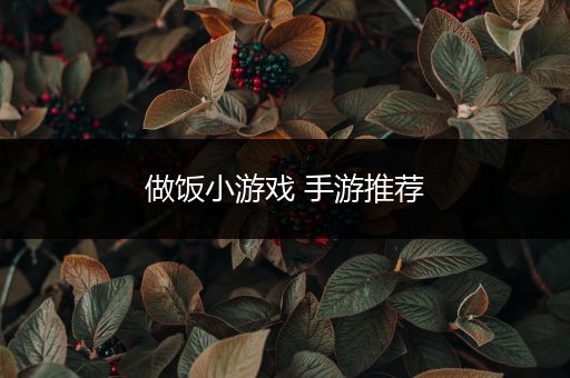 做饭小游戏 手游推荐