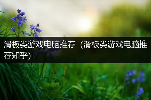 滑板类游戏电脑推荐（滑板类游戏电脑推荐知乎）