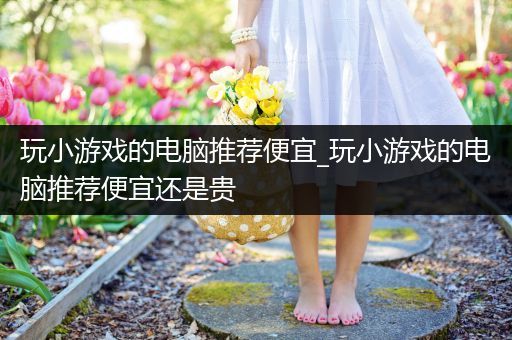 玩小游戏的电脑推荐便宜_玩小游戏的电脑推荐便宜还是贵
