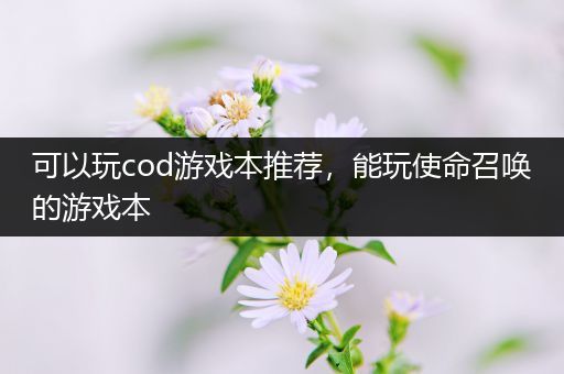 可以玩cod游戏本推荐，能玩使命召唤的游戏本