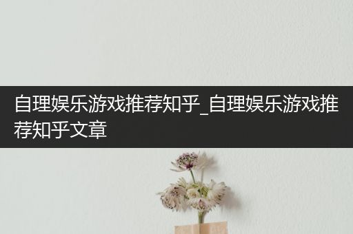 自理娱乐游戏推荐知乎_自理娱乐游戏推荐知乎文章