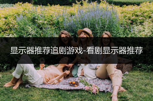 显示器推荐追剧游戏-看剧显示器推荐