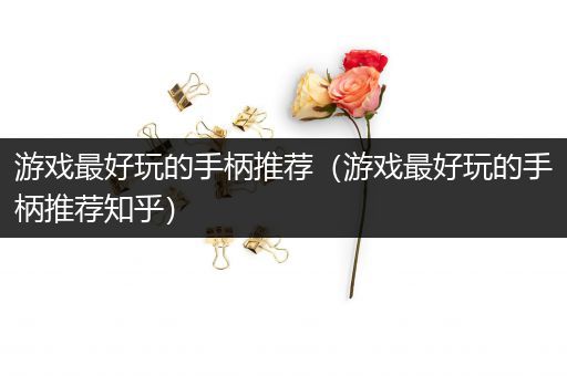 游戏最好玩的手柄推荐（游戏最好玩的手柄推荐知乎）