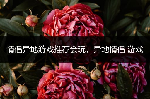 情侣异地游戏推荐会玩，异地情侣 游戏