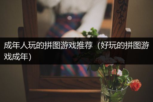 成年人玩的拼图游戏推荐（好玩的拼图游戏成年）
