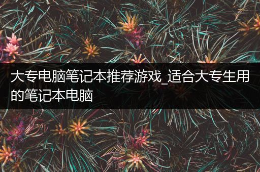 大专电脑笔记本推荐游戏_适合大专生用的笔记本电脑