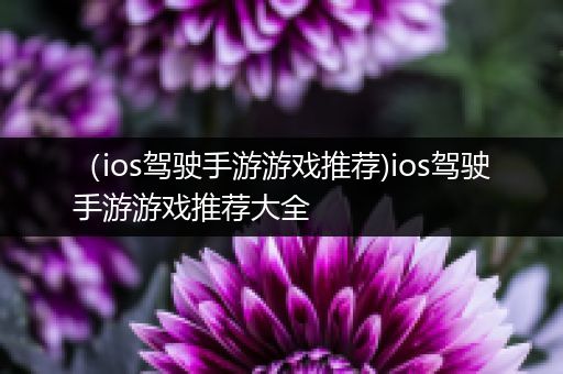 （ios驾驶手游游戏推荐)ios驾驶手游游戏推荐大全