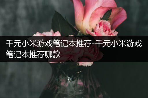 千元小米游戏笔记本推荐-千元小米游戏笔记本推荐哪款