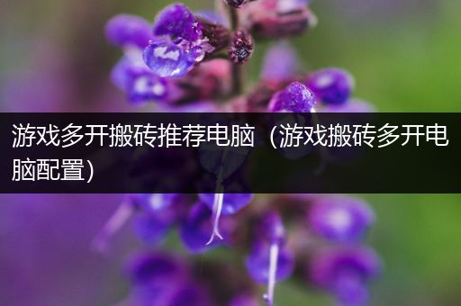 游戏多开搬砖推荐电脑（游戏搬砖多开电脑配置）