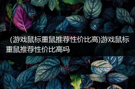 （游戏鼠标重鼠推荐性价比高)游戏鼠标重鼠推荐性价比高吗