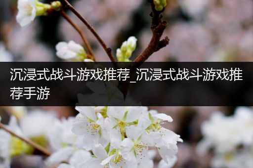 沉浸式战斗游戏推荐_沉浸式战斗游戏推荐手游