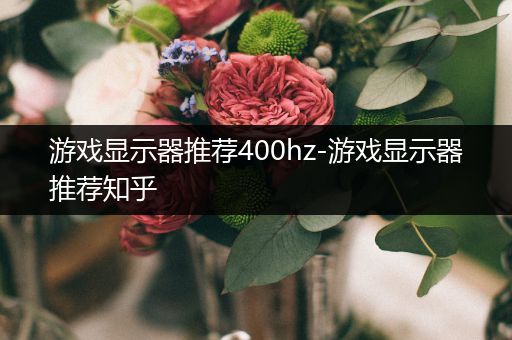 游戏显示器推荐400hz-游戏显示器推荐知乎