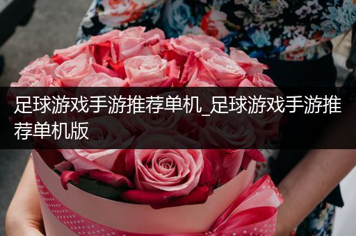 足球游戏手游推荐单机_足球游戏手游推荐单机版