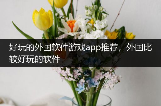 好玩的外国软件游戏app推荐，外国比较好玩的软件