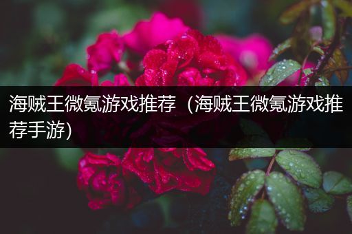海贼王微氪游戏推荐（海贼王微氪游戏推荐手游）