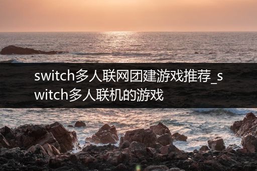 switch多人联网团建游戏推荐_switch多人联机的游戏