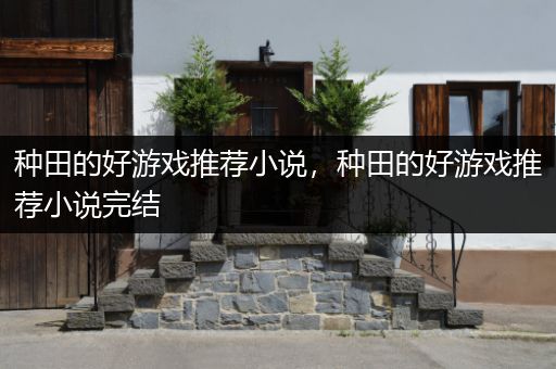 种田的好游戏推荐小说，种田的好游戏推荐小说完结