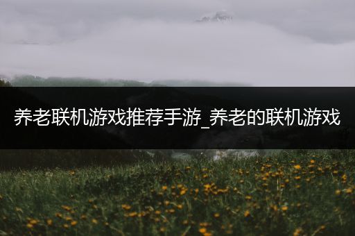 养老联机游戏推荐手游_养老的联机游戏