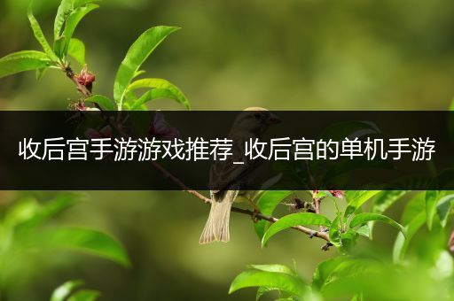 收后宫手游游戏推荐_收后宫的单机手游