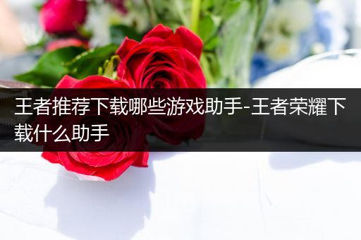 王者推荐下载哪些游戏助手-王者荣耀下载什么助手