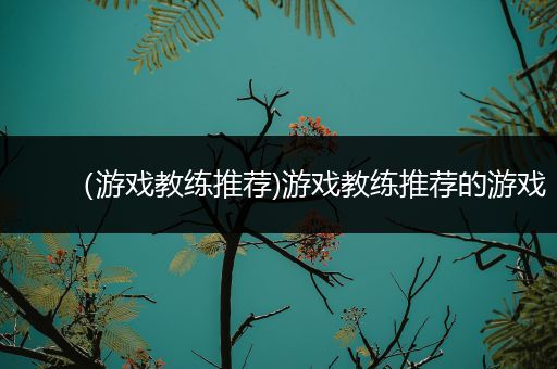 （游戏教练推荐)游戏教练推荐的游戏