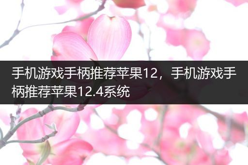 手机游戏手柄推荐苹果12，手机游戏手柄推荐苹果12.4系统