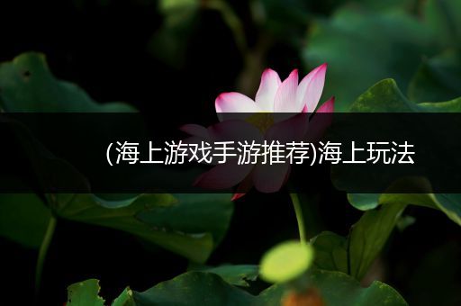 （海上游戏手游推荐)海上玩法