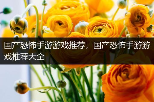 国产恐怖手游游戏推荐，国产恐怖手游游戏推荐大全