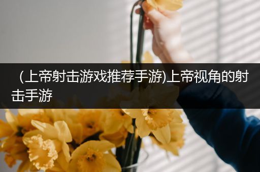 （上帝射击游戏推荐手游)上帝视角的射击手游
