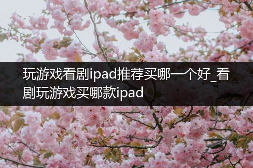 玩游戏看剧ipad推荐买哪一个好_看剧玩游戏买哪款ipad