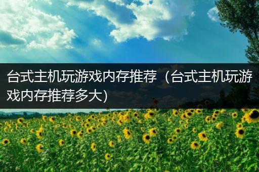 台式主机玩游戏内存推荐（台式主机玩游戏内存推荐多大）