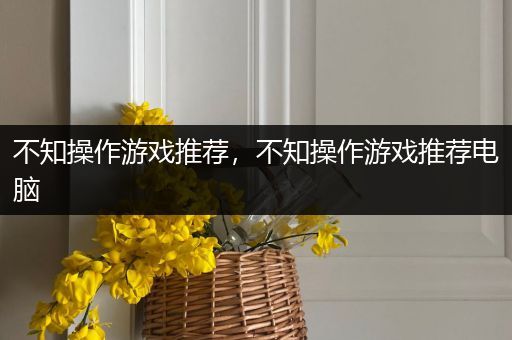 不知操作游戏推荐，不知操作游戏推荐电脑